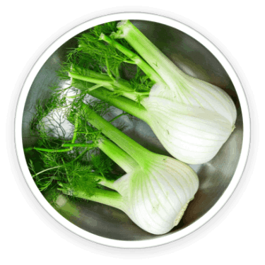 PrimeBiome - Ingredients-4