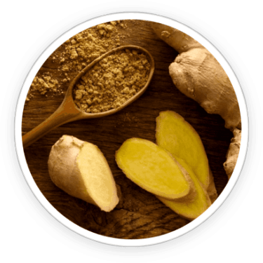 PrimeBiome- Ingredients-2
